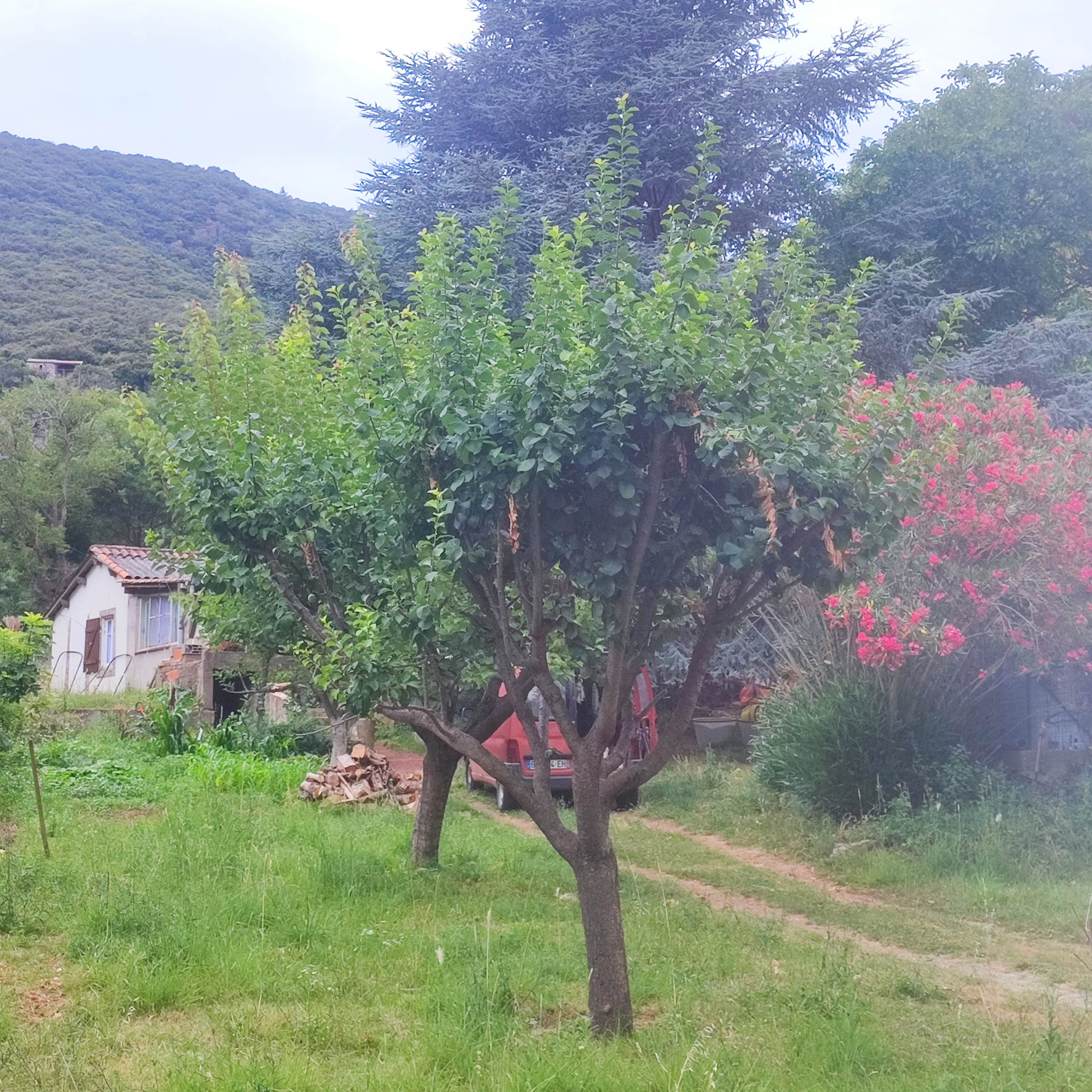 Séjour de guérison spirituelle
