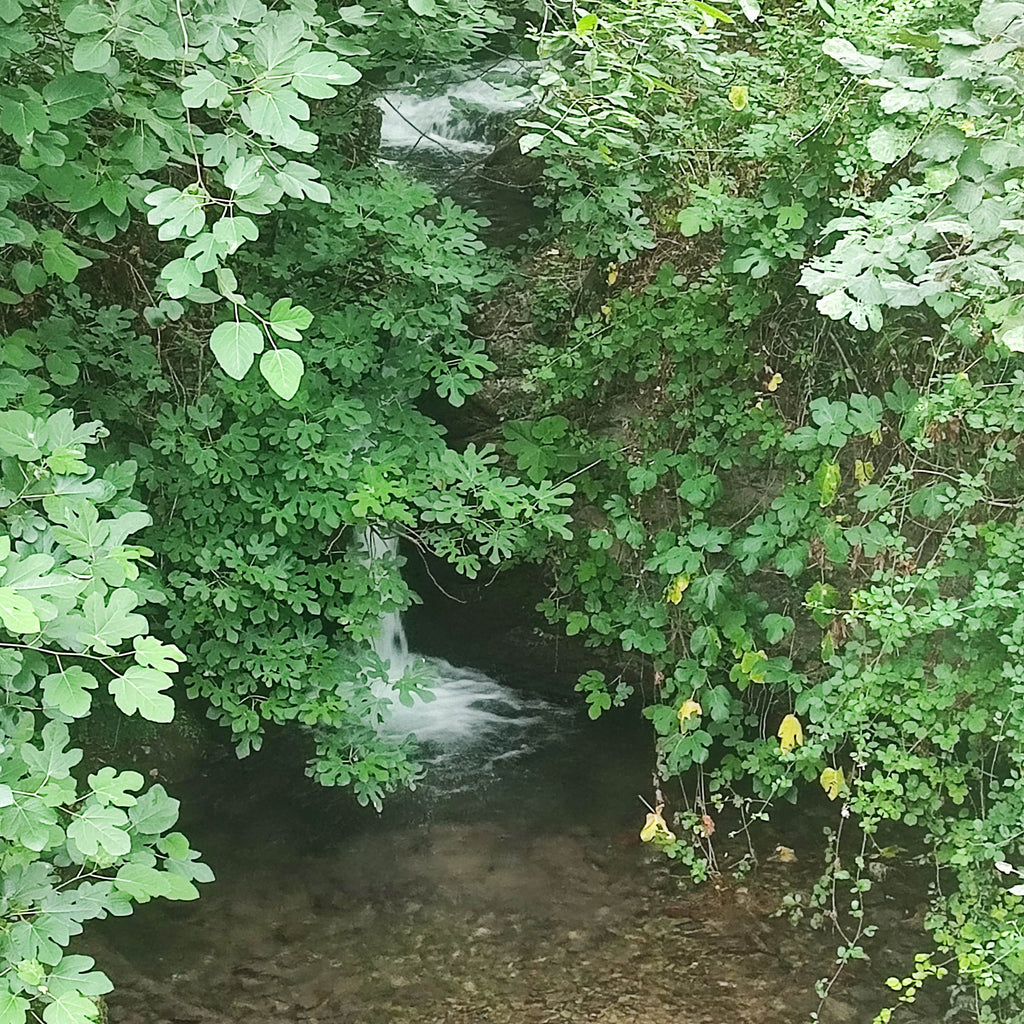 Séjour de guérison spirituelle
