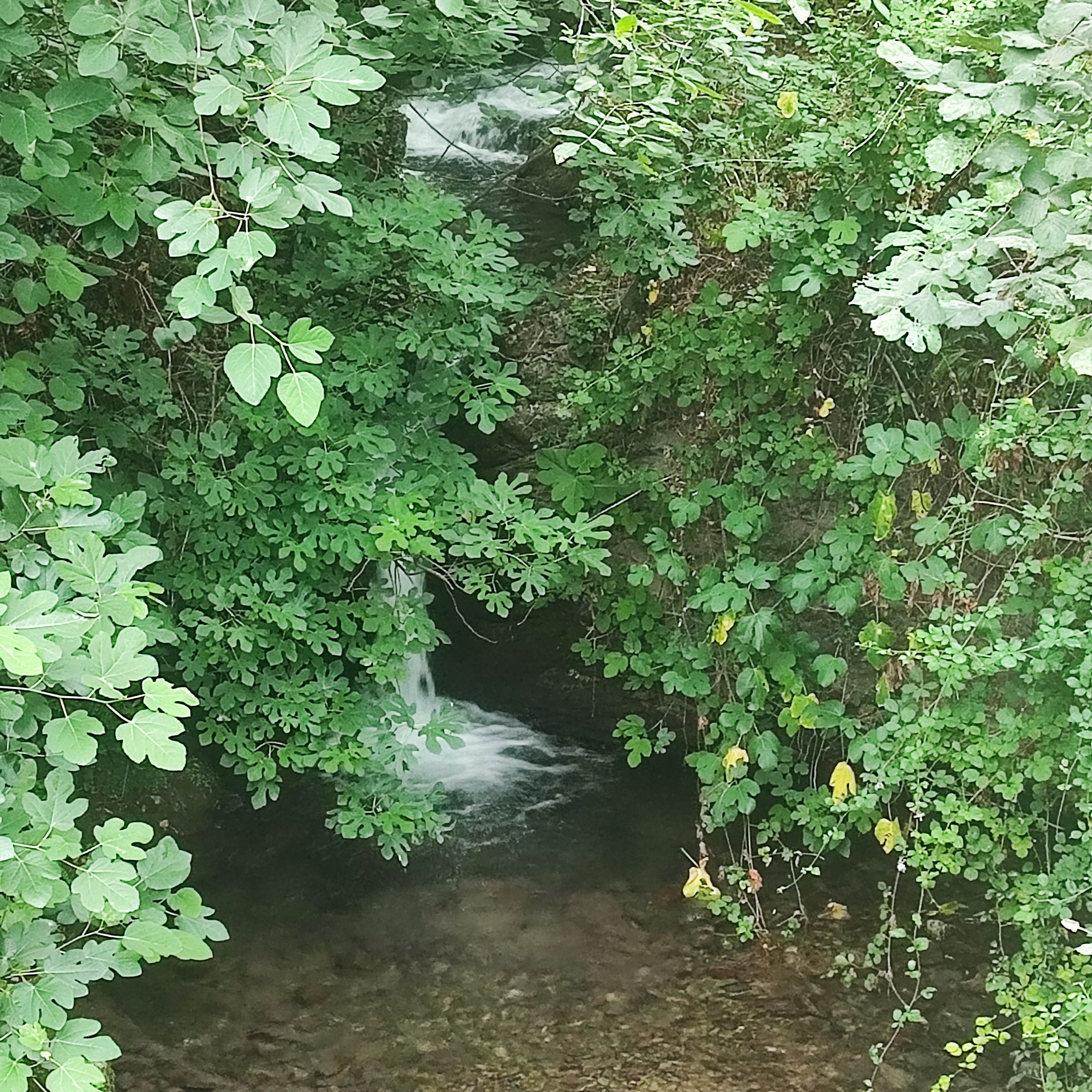 Séjour de guérison spirituelle