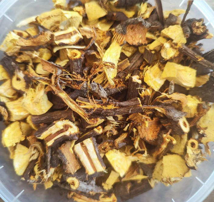 Japanese knotweed root tea, Huzhang, organic farm-grown, Fallopia japonica