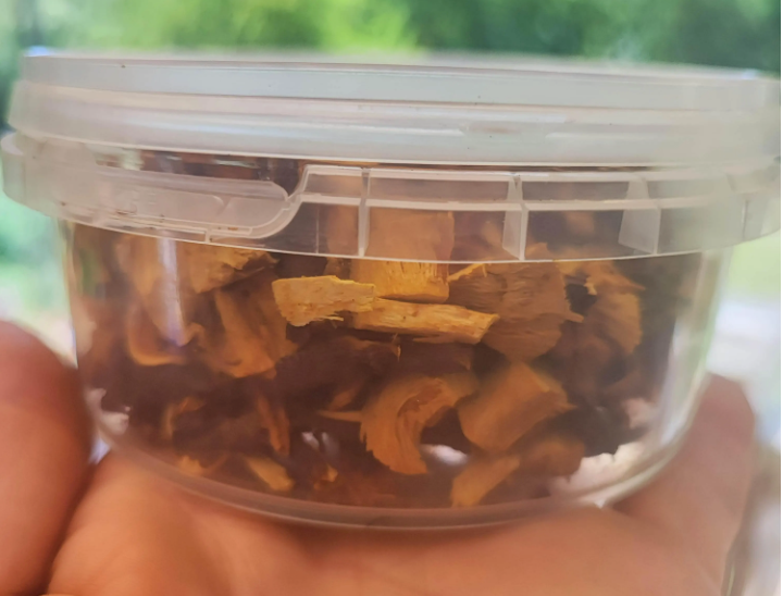 Japanese knotweed root tea, Huzhang, organic farm-grown, Fallopia japonica