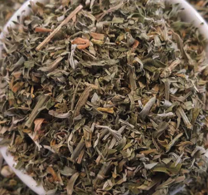 Bitter Wormwood (Artemisia absinthium) organic farm grown.