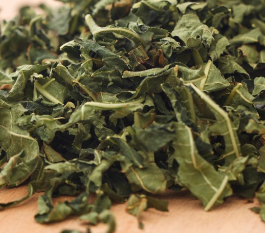 Fig leaves tea organic farm grown, antioxidant, treatment for asthma