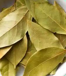 Bay leaf tea organic farm grown, treatment of migraines, digest food faster,