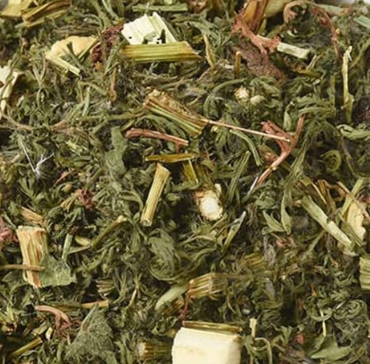 Sweet wormwood tea Treatment for Candida albicans! Antiparasitic activity, jaundice, and hemorrhoids
