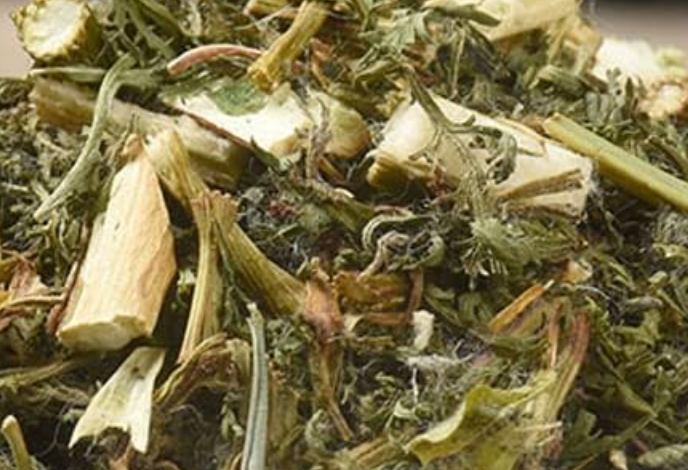 Sweet wormwood tea Treatment for Candida albicans! Antiparasitic activity, jaundice, and hemorrhoids
