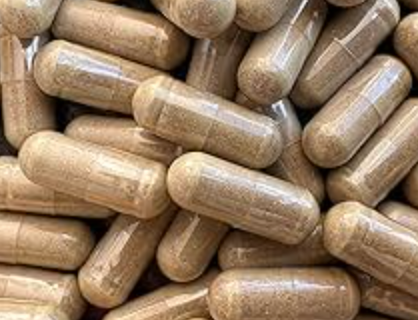 Treating Lyme Japanese knotweed, sweet wormwood, bitter wormwood, thyme, oil of oregano