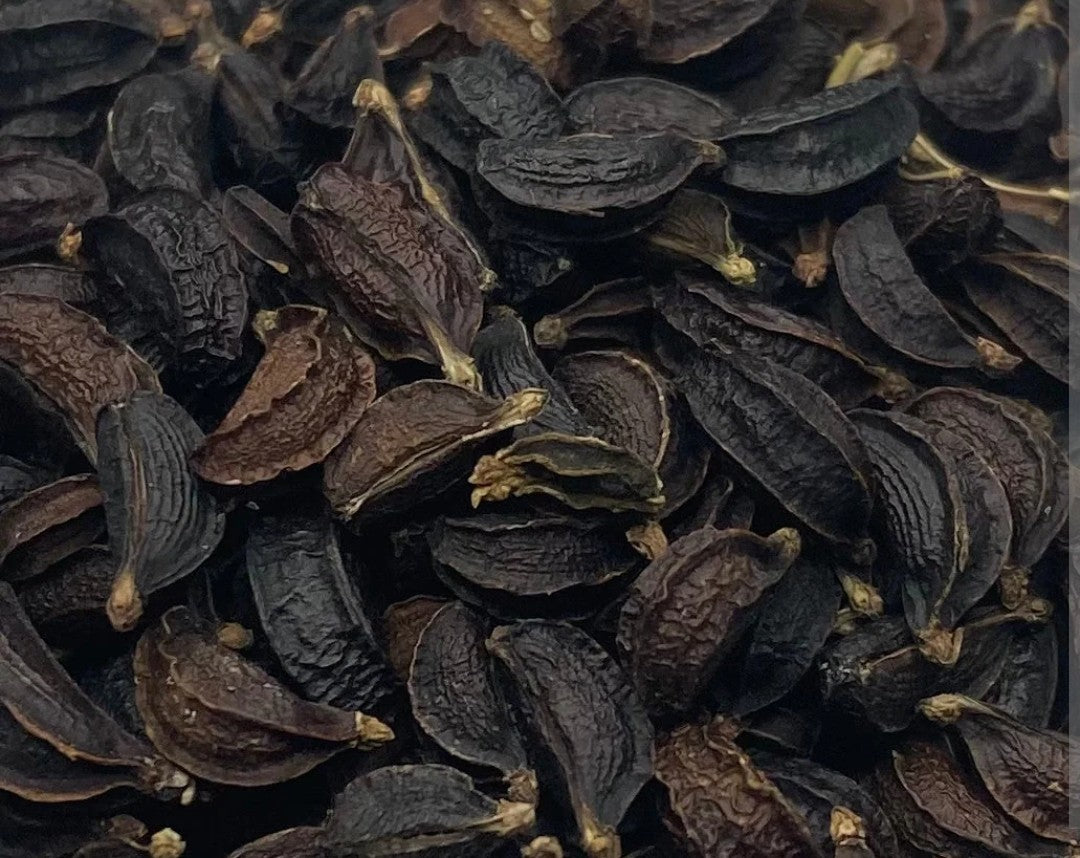 100 Wild celery, Smyrnium olusatrum L seeds induce apoptosis in human colon carcinoma cells.